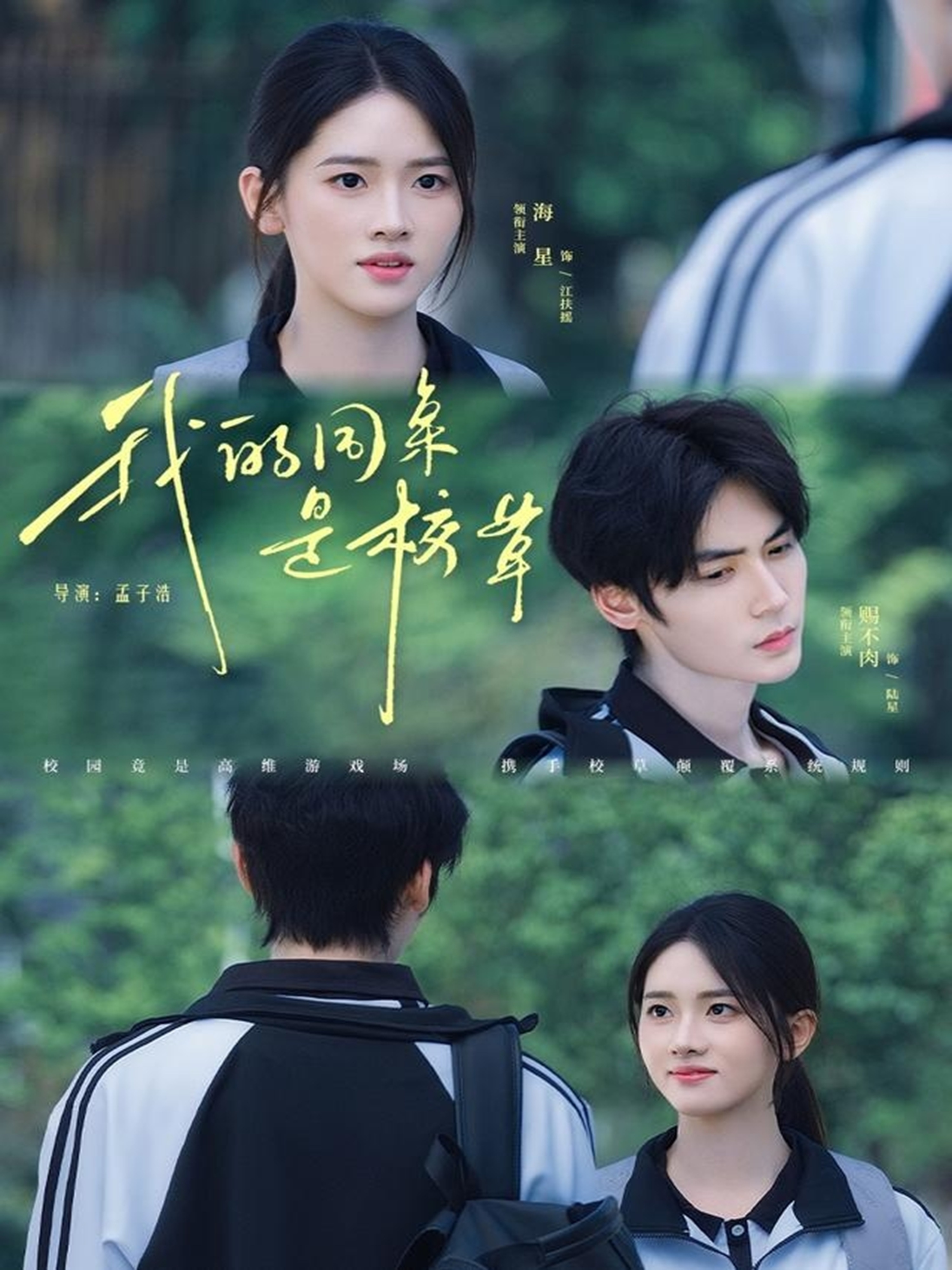 我的同桌是校草